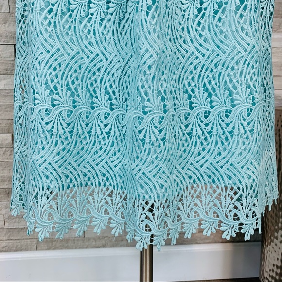 Antonio Melani NWT Carolina Lace A-Line Dress $199 - Picture 6 of 12